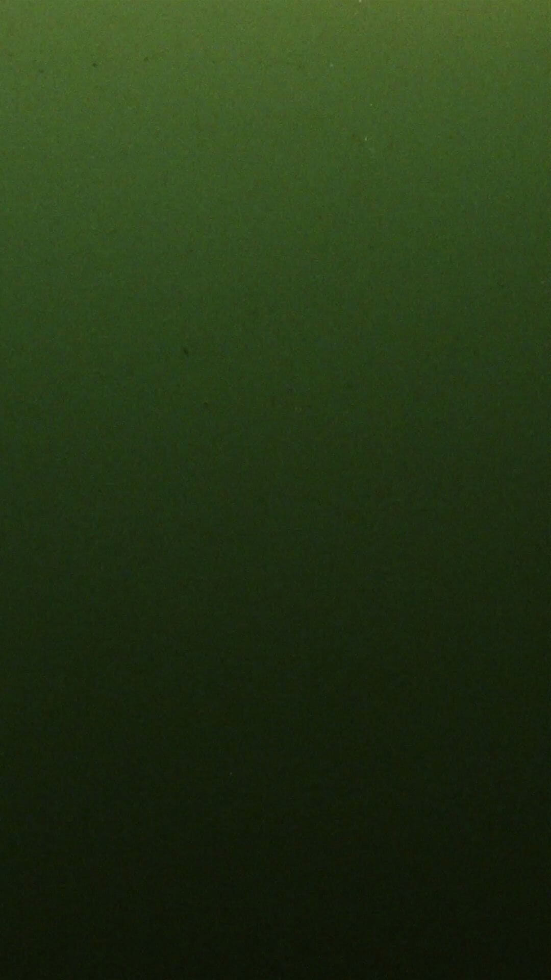 NSS x Versace Jeans Couture