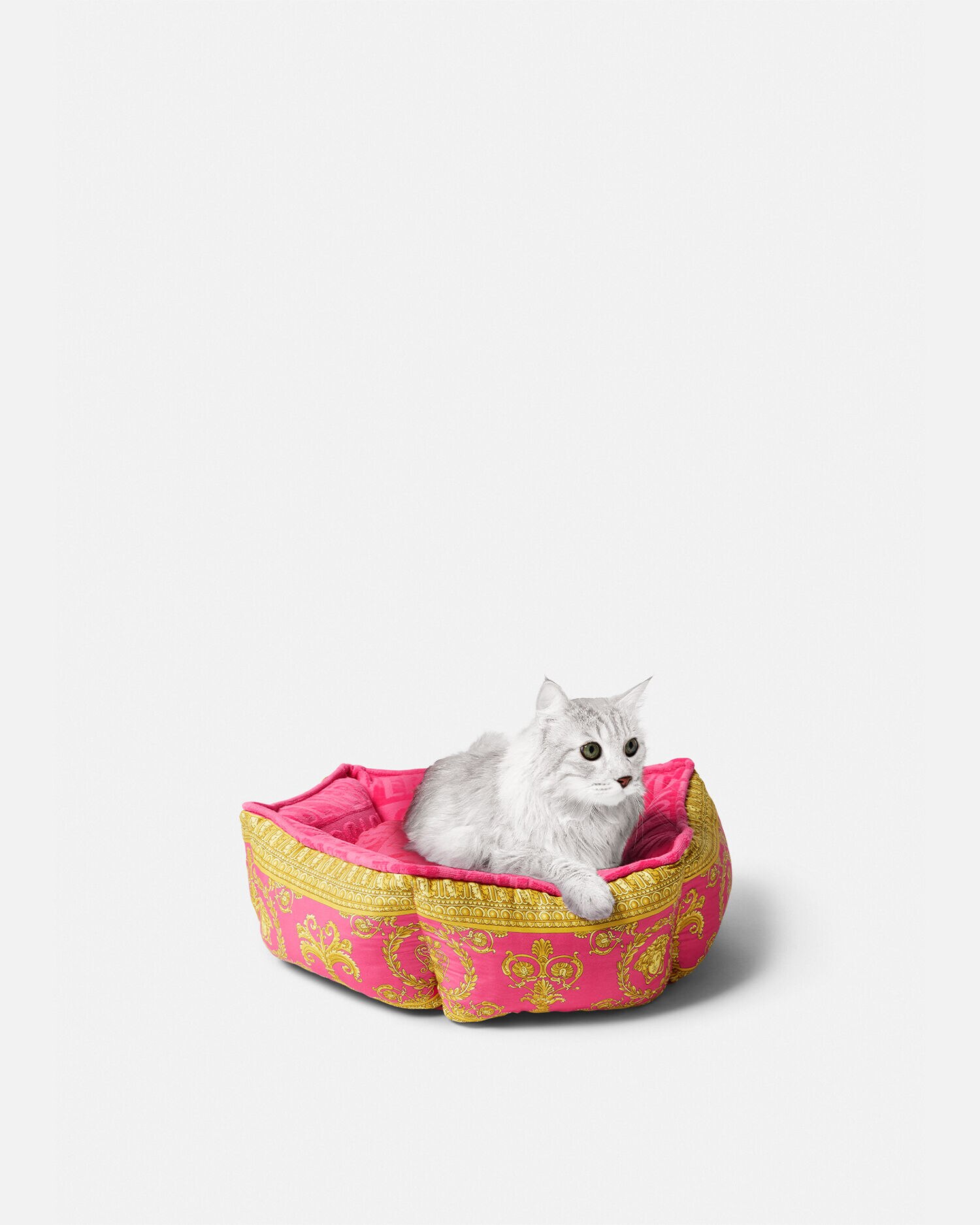 Versace hot sale dog bed
