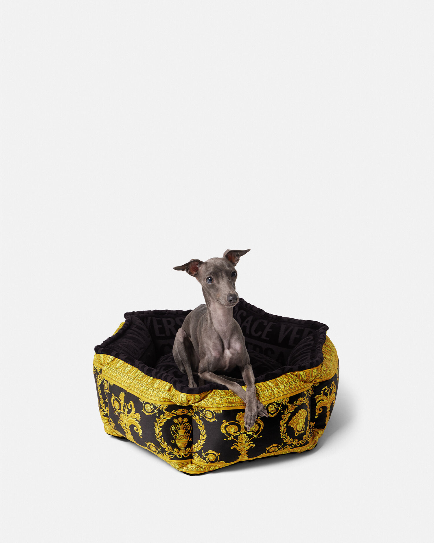 Versace Barocco Home Collection