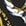 Black+Gold