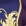Purple+Gold