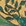 Green+Gold