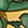 Gold+Green