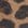 Animalier