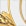 White+Gold
