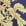 Navy+Gold