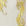 White+Gold
