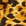 Wild Cats Large Silk Foulard 35"
